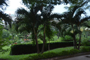 vietnam_reise_08.jpg